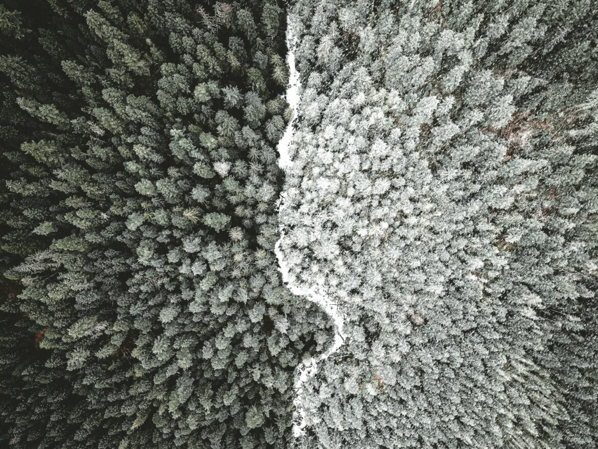 anthony-intraversato-YG5l5XIZ76w-unsplash Raise vs. rise: The right usage
